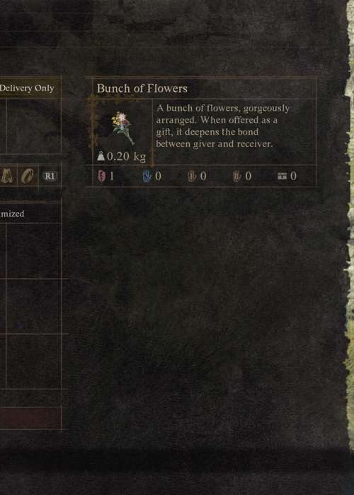 How to get a bunch of flowers in Dragon's Dogma 2