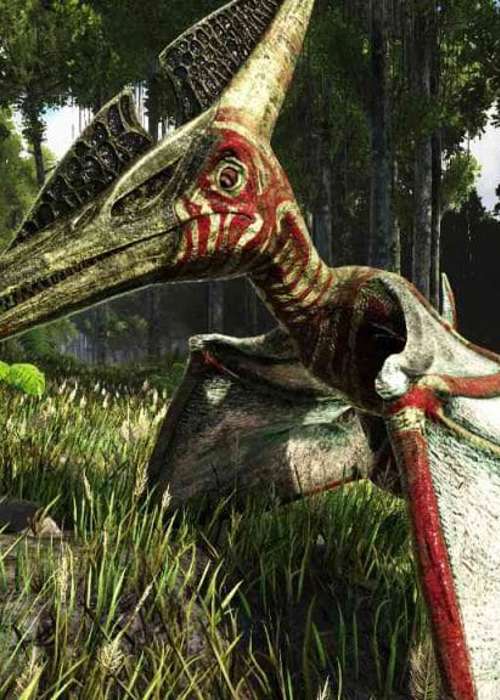 How To Tame A Pteranodon In ARK Survival Evolved