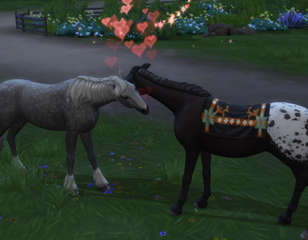 sims-4-horse-ranch-how-to-breed-horses.jpg