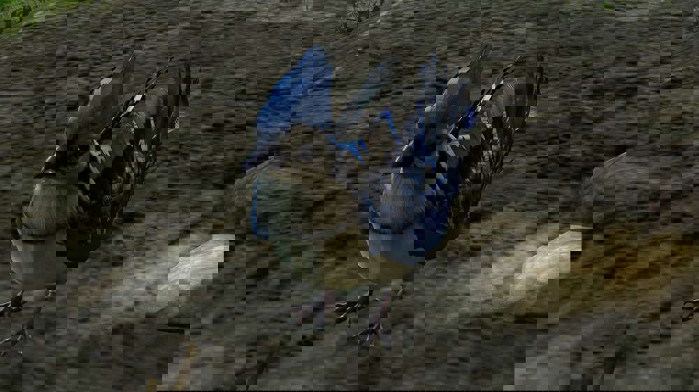 How to speak to animals in Baldur's Gate 3