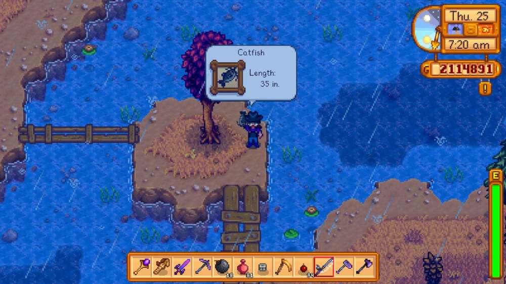 How to find a Catfish in Stardew Valley