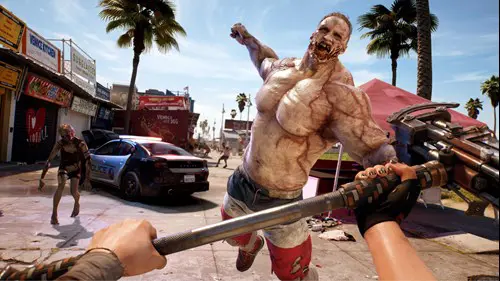 Dead Island 2 Combat