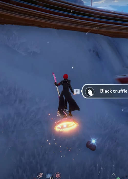 How to find Black Truffle in Tower of Fantasy