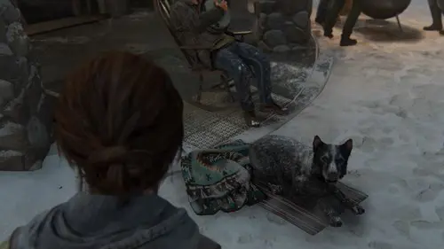 Buckley The Last Of Us