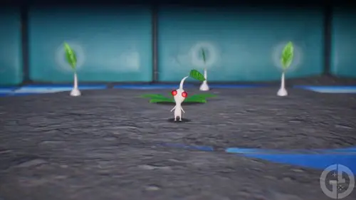 The White Pikmin