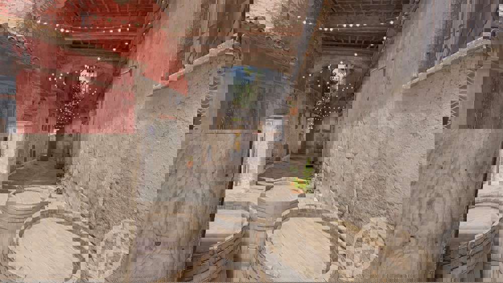 Counter-Strike 2 rank distribution 2024 details