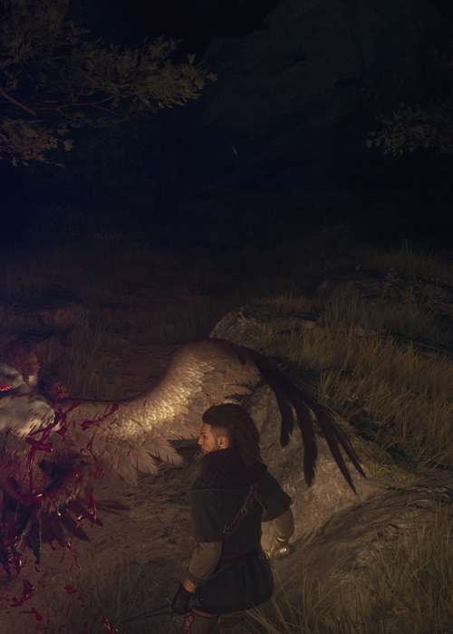 How to kill harpies in Dragon's Dogma 2