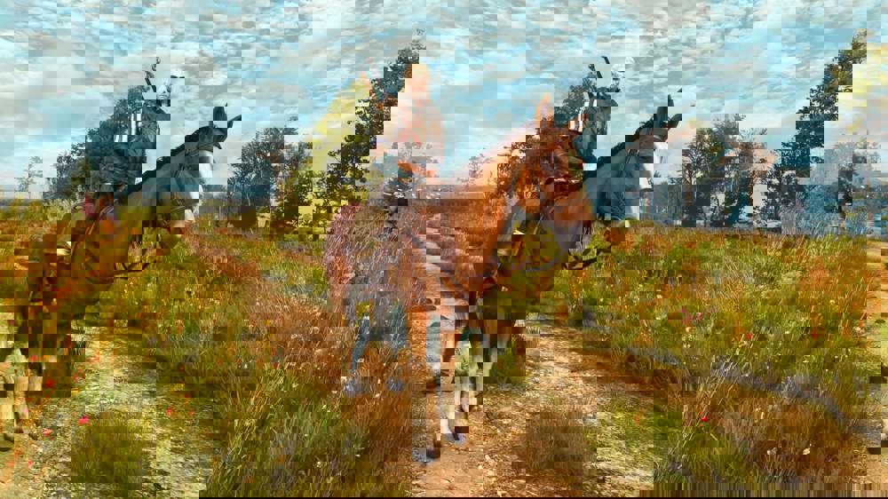 The Witcher 3: Where The Cat And Wolf Play Walkthrough