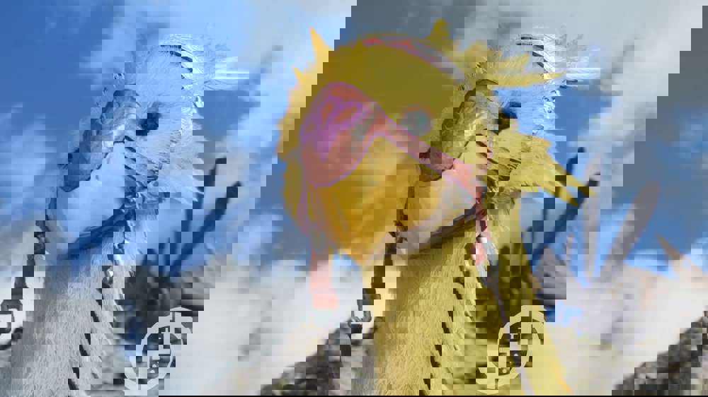 Where to get a Chocobo in every region of Final Fantasy 7 Rebirth