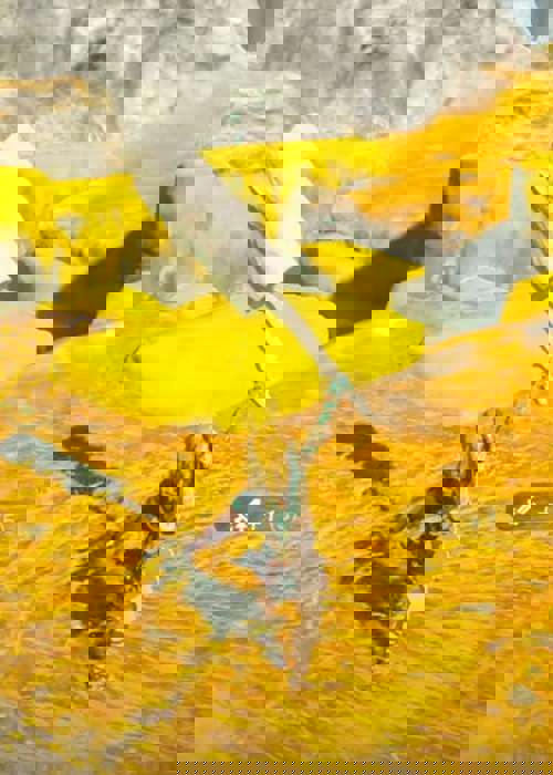 All Fuse recipes in Zelda: Tears of the Kingdom