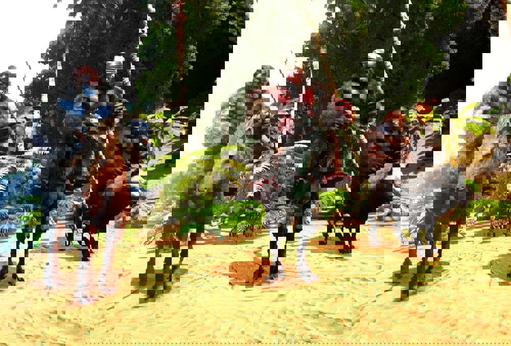 How To Get Fiber In ARK Survival Evolved