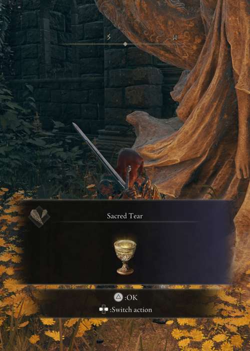 How to find Sacred Tears in Elden Ring