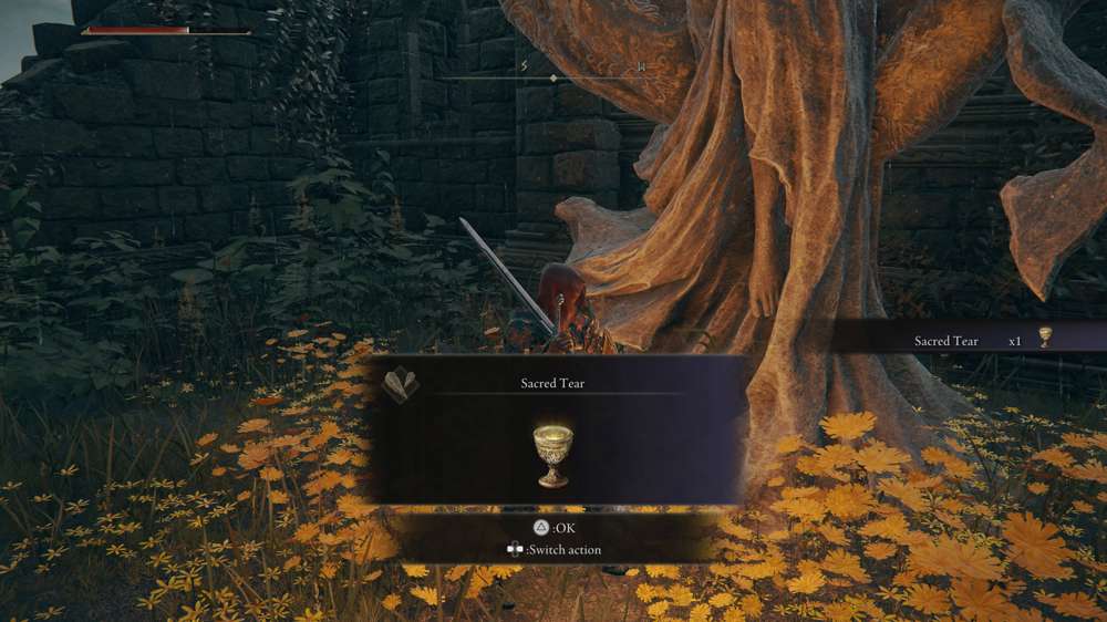 How to find Sacred Tears in Elden Ring