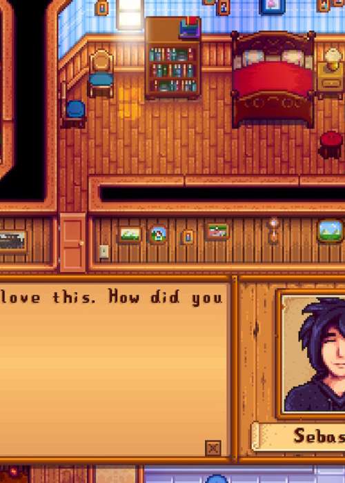 Stardew Valley Sebastian: Gifts, Schedule, And Heart Events