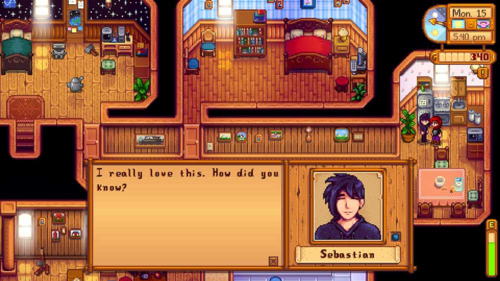 Stardew Valley Sebastian: Gifts, Schedule, And Heart Events