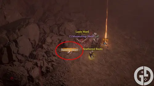 Image of a Baneful Heart in Diablo 4