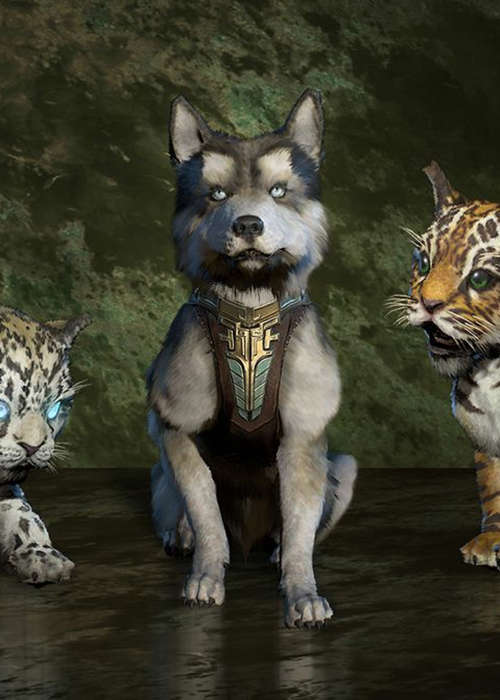 How to unlock pets in Diablo 4