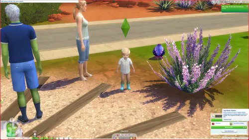 Image showing the top-notch toddler trait added to a Sim