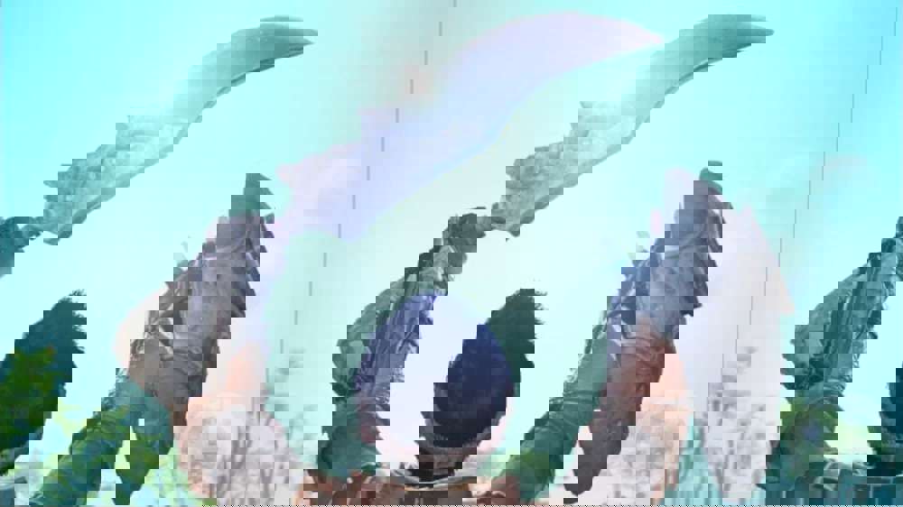 All Monster Hunter Now codes & referrals to get Zenny, Potions & more