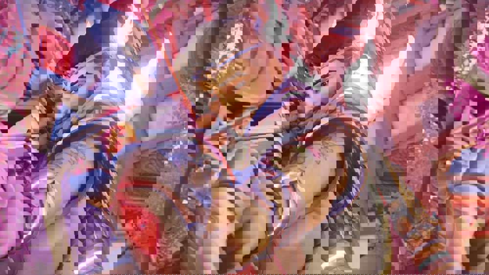 Overwatch 2 Season 3: Loverwatch Dating Sim Explained