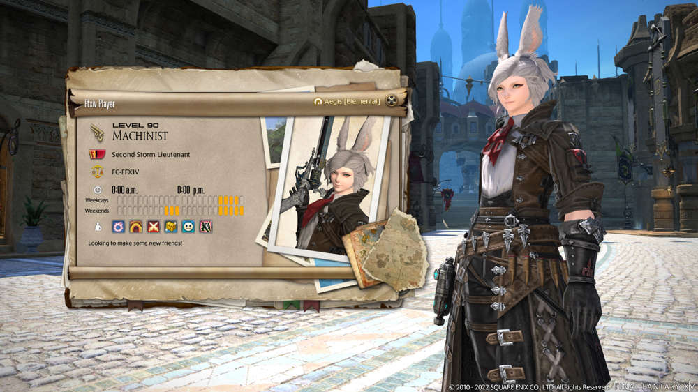 FFXIV Instant Portraits Explained