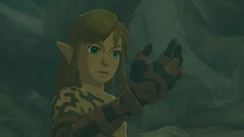 Link Tears of the Kingdom arm