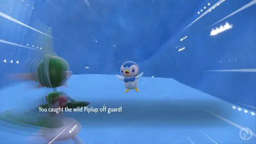 Piplup in Pokemon Scarlet & Violet