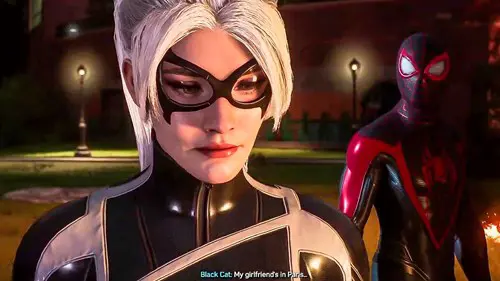 Black Cat Spider-Man 2 bisexual