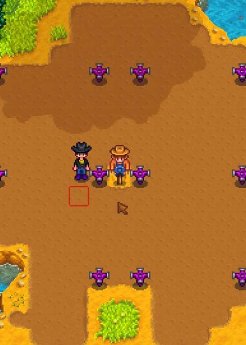 Best Sprinkler layouts in Stardew Valley for your Greenhouse & farm