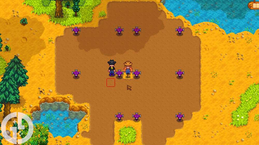 Best Sprinkler layouts in Stardew Valley for your Greenhouse & farm