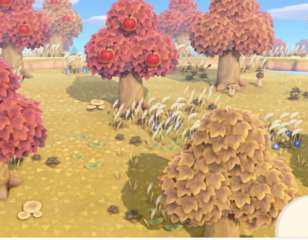 animal-crossing-new-horizons-fall.jpg