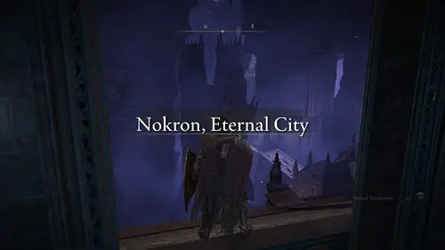 Elden Ring Mimic Tear: entering Nokron