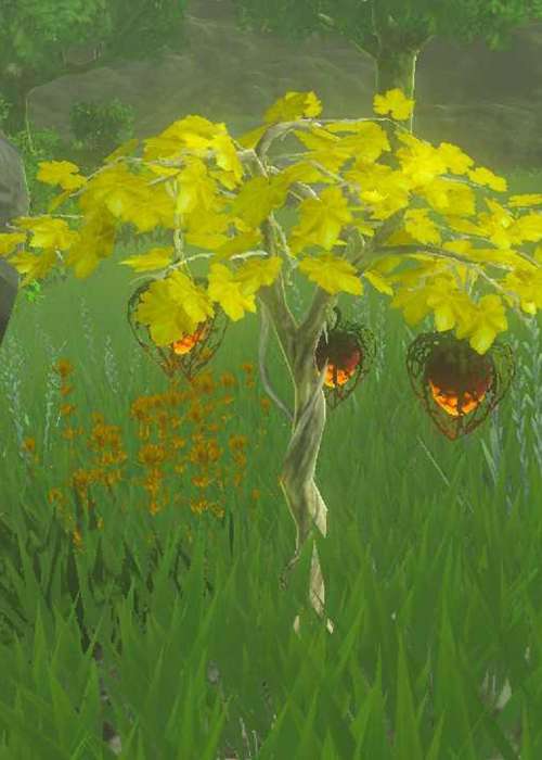 How to get Fire Fruits in Zelda: Tears of the Kingdom