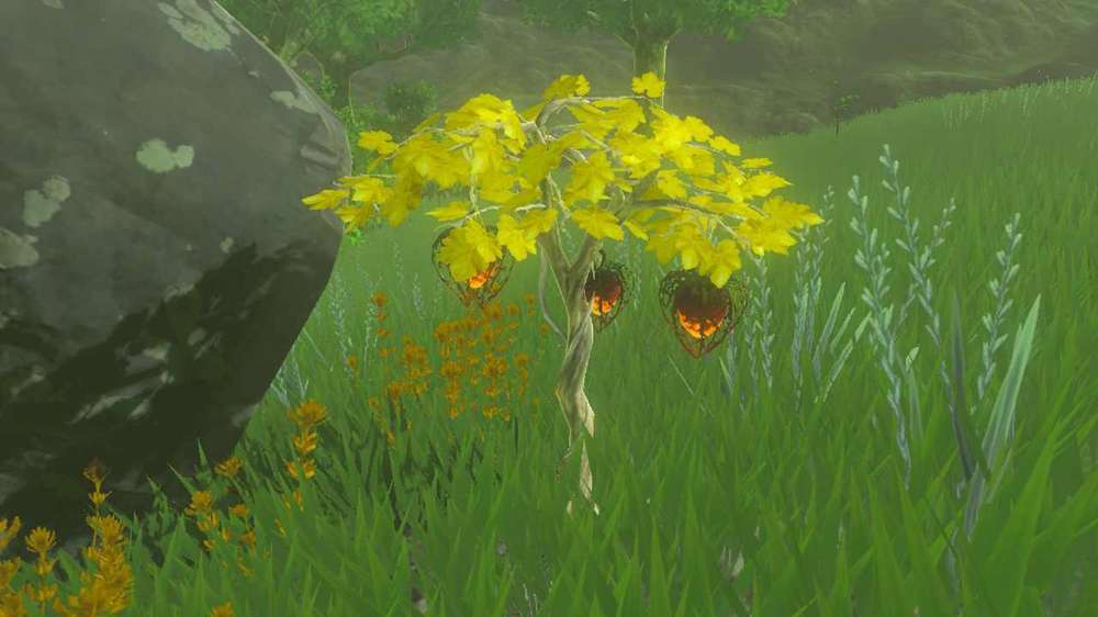 How to get Fire Fruits in Zelda: Tears of the Kingdom