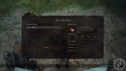 Image of a Beast Steak in Dragon's Dogma 2