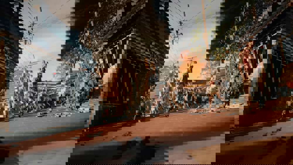 Black Ops 6 Zombies: All Maps so far