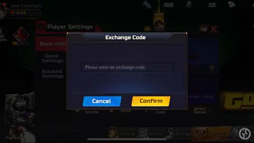 Redeeming a code in Street Fighter: Duel