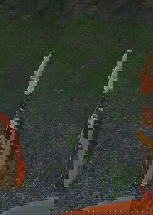 How to find the 'sound of a drum' in Zelda: Tears of the Kingdom