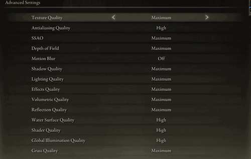 Elden Ring best settings for max FPS