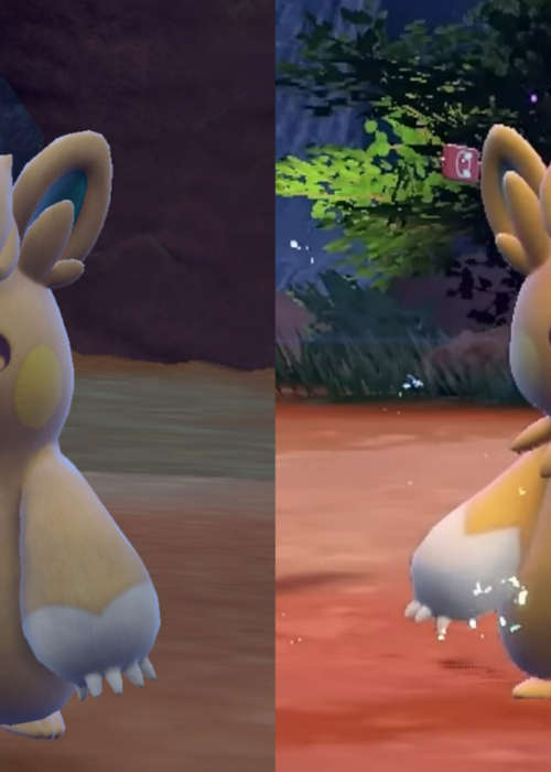 When Does Pawmo Evolve In Pokemon Scarlet And Violet?