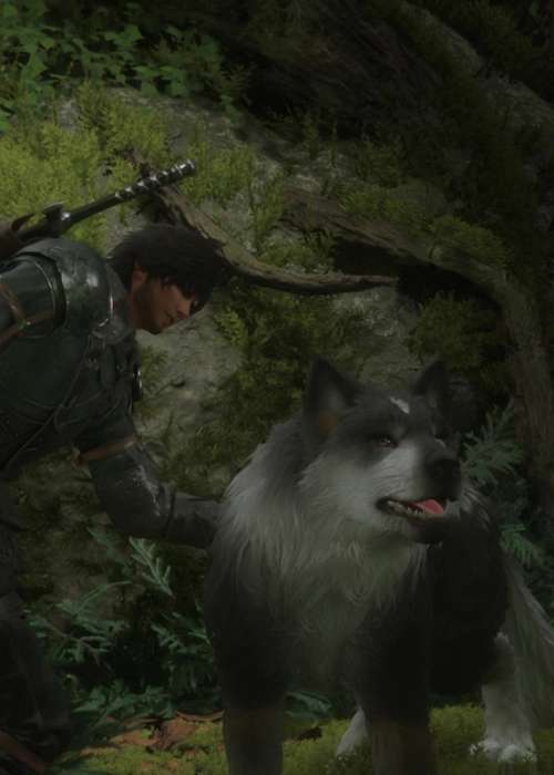 Here's how you can level up your wolf in Final Fantasy 16