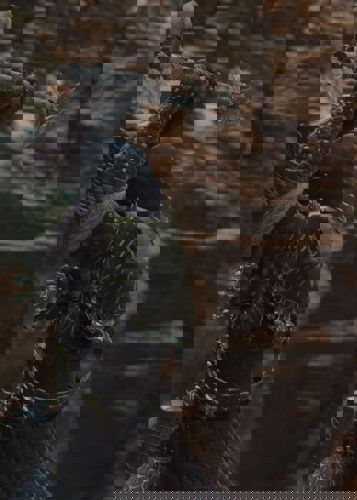 Best Mystic Spearhand build in Dragon's Dogma 2, including skills & weapons