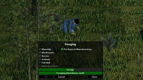 Project Zomboid foraging