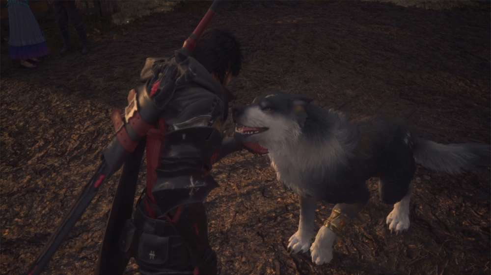 How to pet & interact with Torgal in Final Fantasy 16