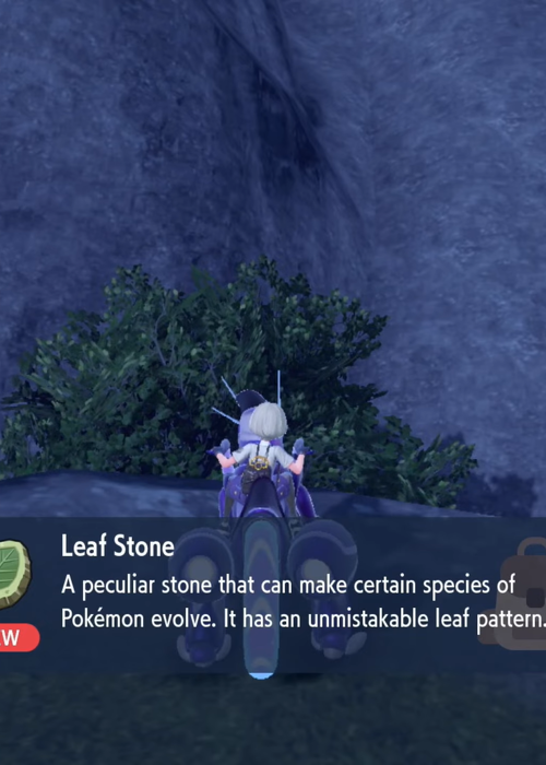 How to get a Leaf Stone in Pokemon Scarlet and Violet