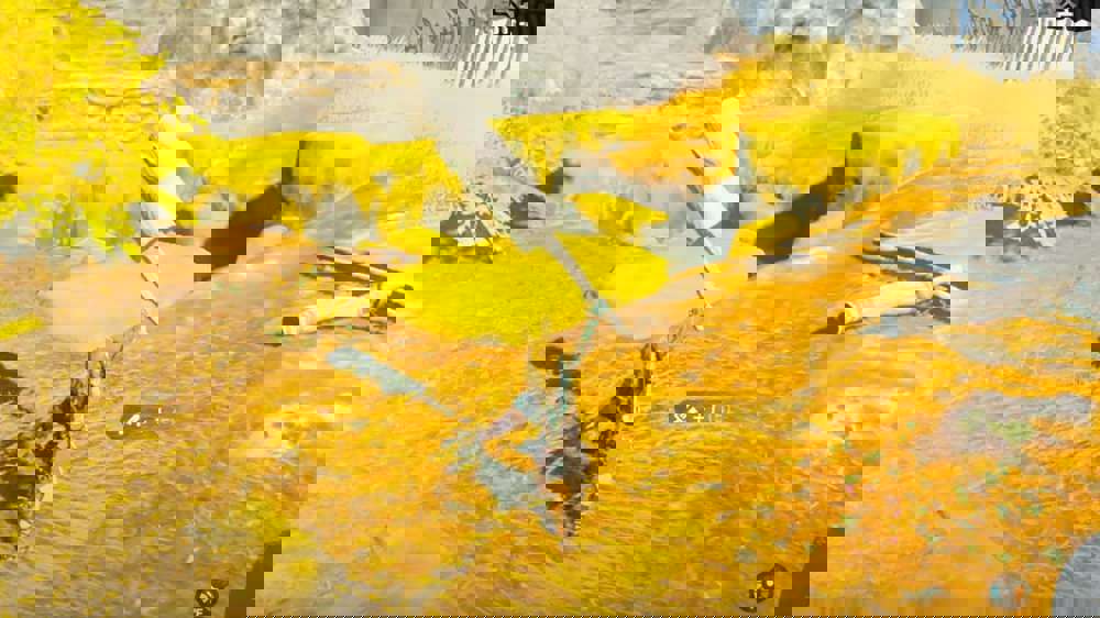 Zelda: Tears of the Kingdom Fuse Recycling explained - Which weapons can use it?