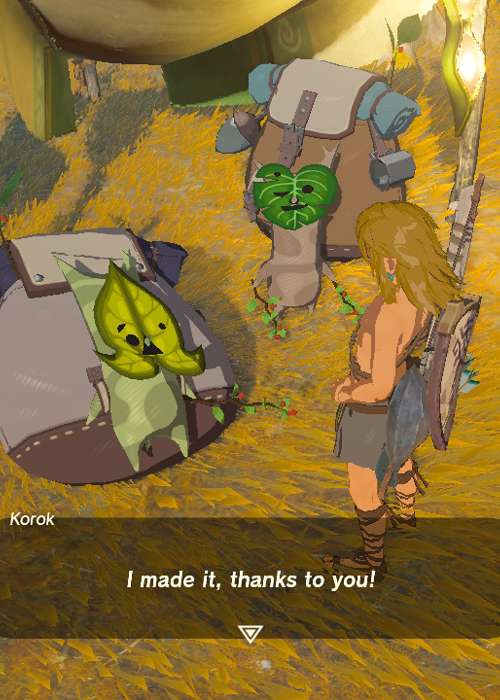 How to reinute the Koroks in Zelda: Tears of the Kingdom