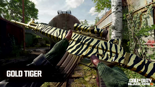 Gold Tiger Camo BO6