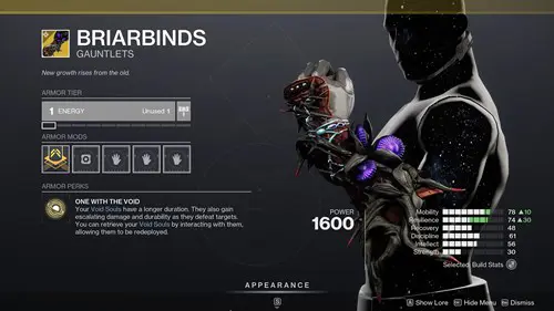 The new Briarbinds exotic for Warlocks in Destiny 2