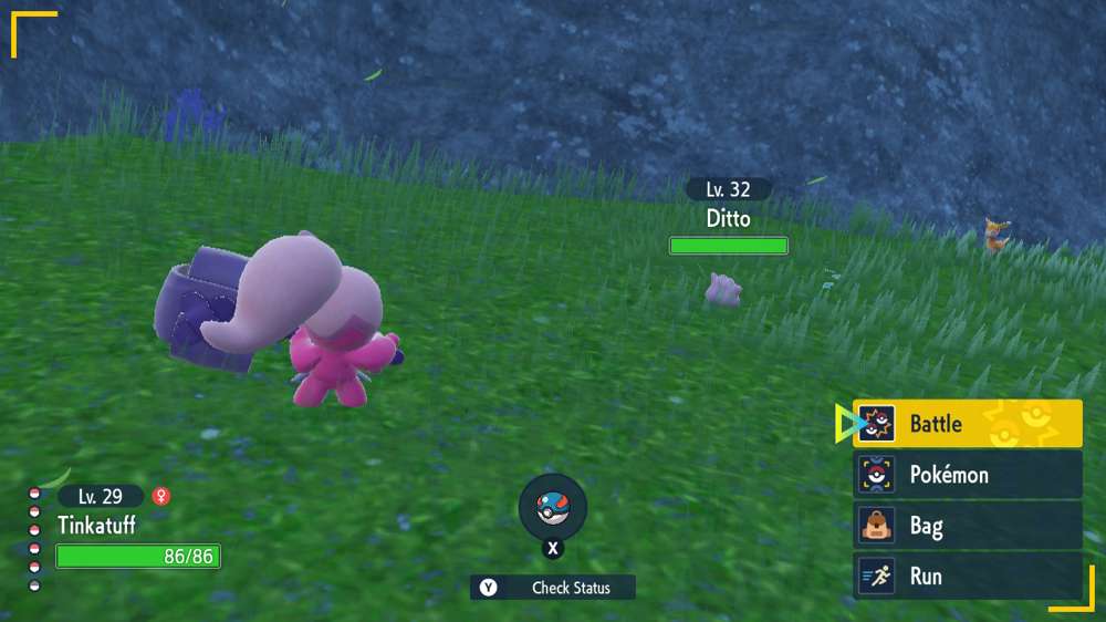 Catch Ditto & Zorua in Pokemon Scarlet and Violet with these tips